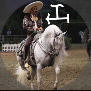 Photo de ♘Gusto Por Los Caballos Ⓜ️