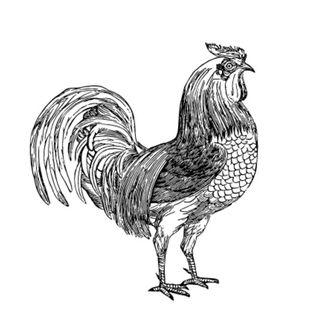 Cola de Gallo | Mixología photo