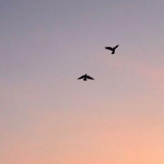 Dinda Firdausa photo