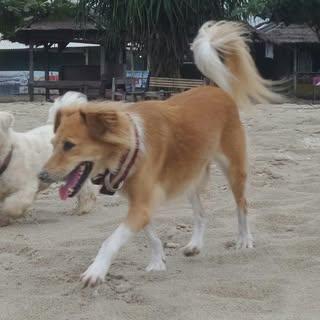 Photo de Doniherdaru