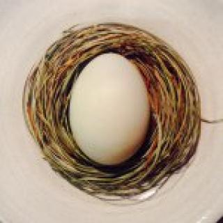 Magnus Nilsson photo