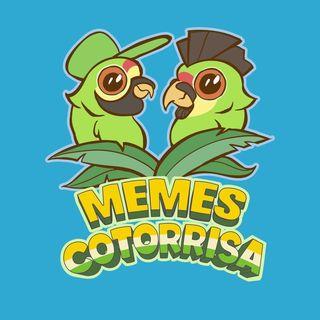 Memes De la Cotorrisa photo