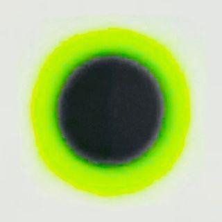 Tom & Collins ▲ photo