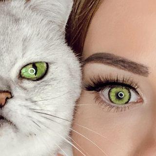 Xle Ox photo